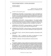 Folksynthesis Ltd. v. Gapuma (UK) Ltd.