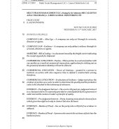 Multi Trade Management LLC v. Limex Global Inds. Ltd.